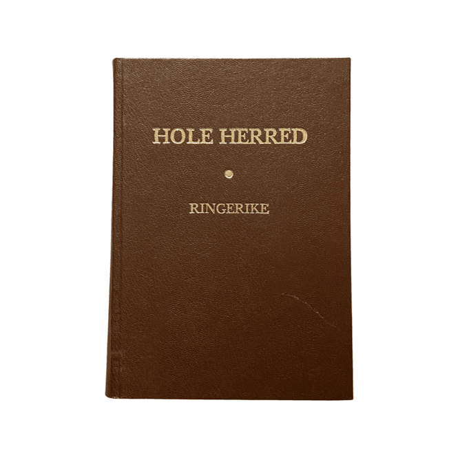 Hovedbilde Hole herred