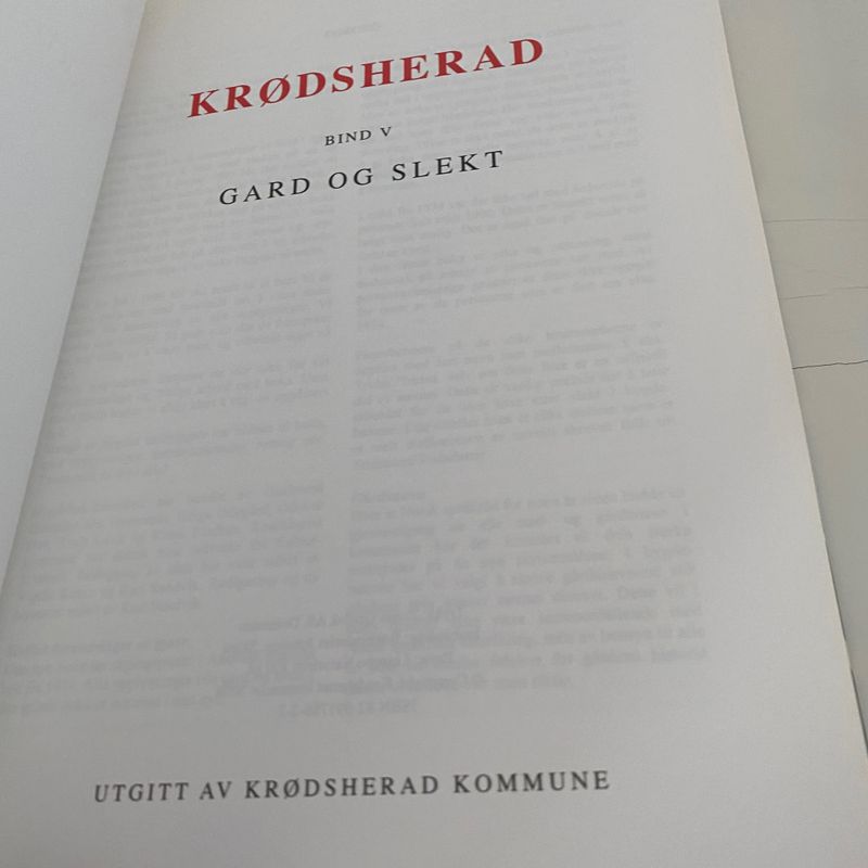 Krødsherad V