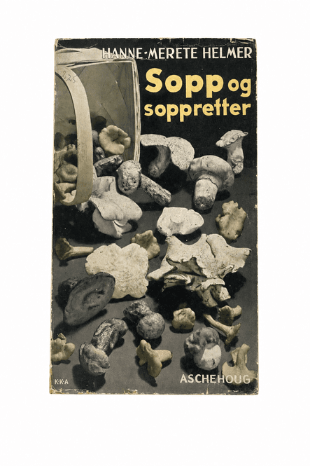 Hovedbilde Sopp og soppretter