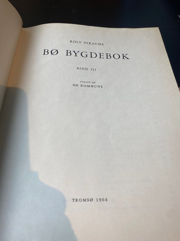 Bø bygdebok III