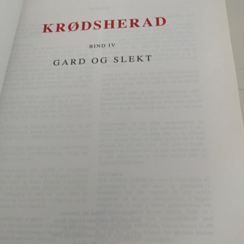 Krødsherad IV
