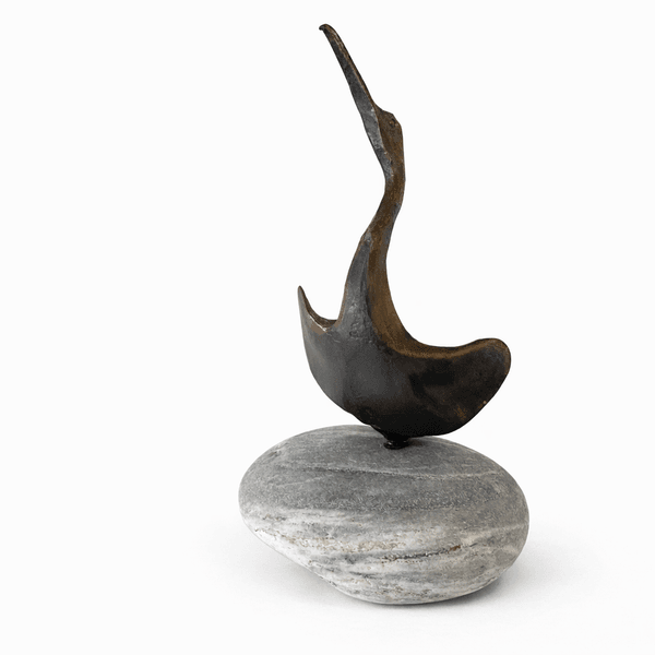 Hovedbilde Skarv fra Smeden i Sund