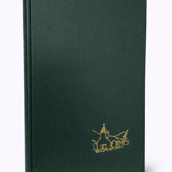 Hovedbilde Årdal - frå istid til nåtid